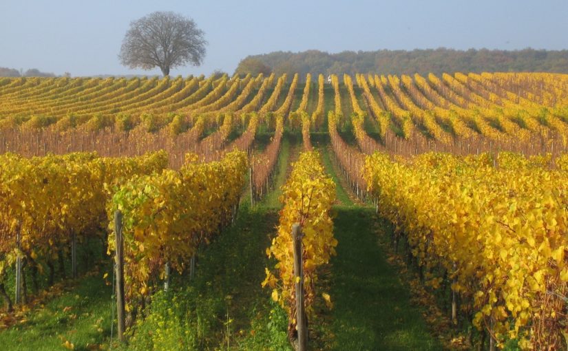 Klimafreuden – Umweltsorgen